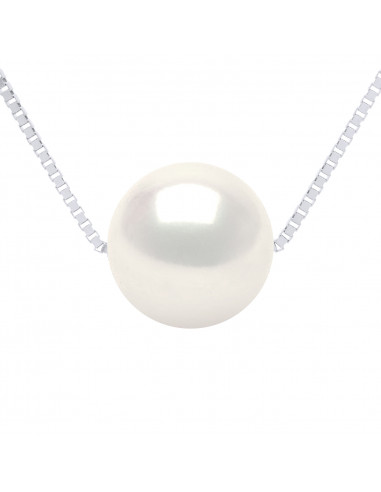 Gold Chain Necklace and 8 Mm Round Culture Pearl - 3 Colors - Lilya