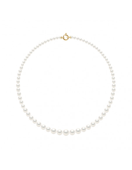 Collier Rang de Perles en Chute 11 à 5 mm - Longueur 50 cm - Fermoir Or - VILLA