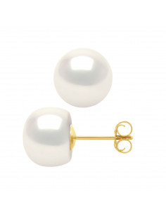 Boucles d'Oreilles en Or et Perles de Culture Boutons 9 mm - 2 Coloris - WANDA