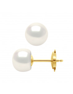 Boucles d'Oreilles Sécurité en Or et Perles de Culture 8 mm - 2 Coloris - SIRA