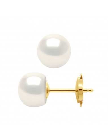 Pendientes de seguridad de oro y perlas de cultivo de 8 mm - 2 colores - SIRA