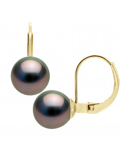 Dormeuses d'Oreilles en Or et Perles de Tahiti Rondes 8 mm - AMOTOA