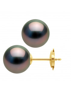 Boucles d'Oreilles en Or et Perles de Tahiti Rondes 10 mm - KENDARI