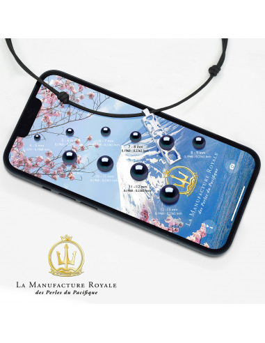 Collana di collegamento nero e vera perla nera e argento