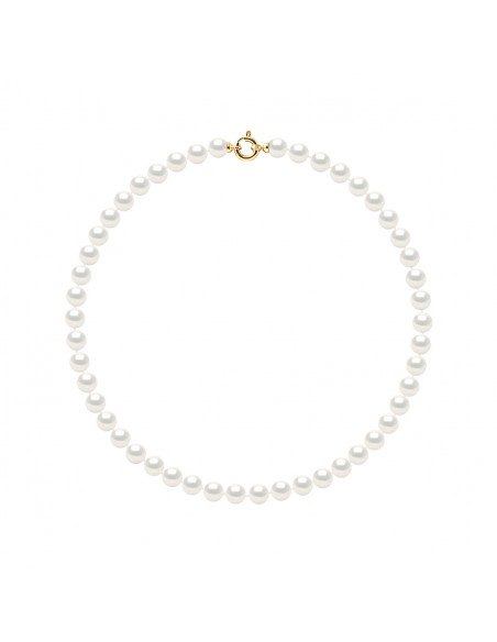 Gold Prestige Clamp Necklace, Round Round Round 8 mm - 42 cm - 4 Colors - Ankania