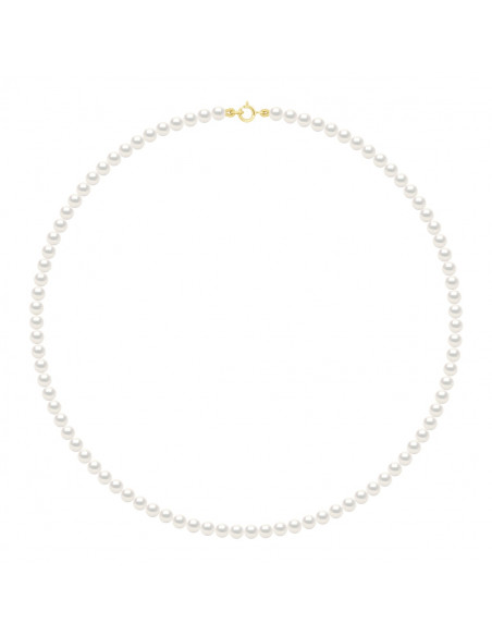 Cierre de sujeción de oro amarillo o oro blanco y perlas redondas 4 mm - 7 Color - Veronika