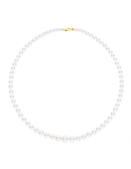 Necklace rank in the fall of true black pearls Gold clasp